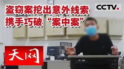 《揭秘天龙私服案件的真相及其对游戏行业的影响》